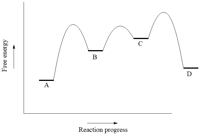 energy diagram with 3 hills